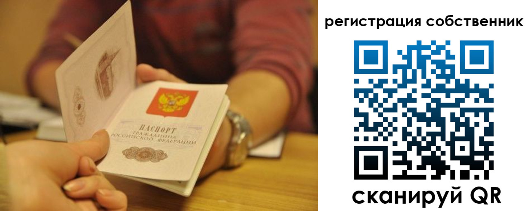 временная регистрация поиск в Александрове